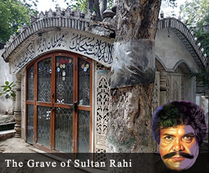 The Grave of Sultan Rahi