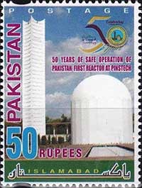 پاکستان کا پہلا ایٹمی بجلی گھر